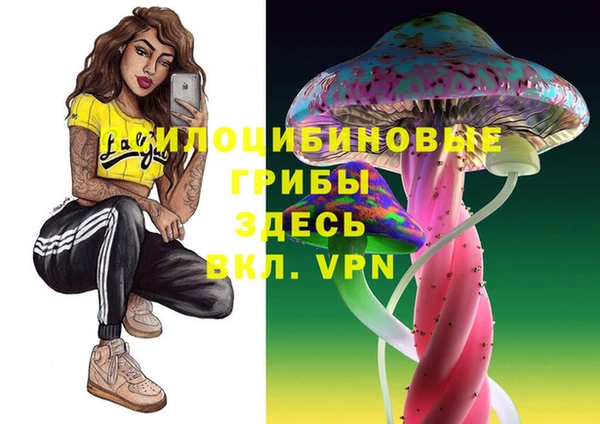 герыч Верея