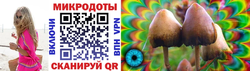 Псилоцибиновые грибы мицелий  Купить закладки  Когалым 